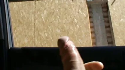 De film x entier gratuit