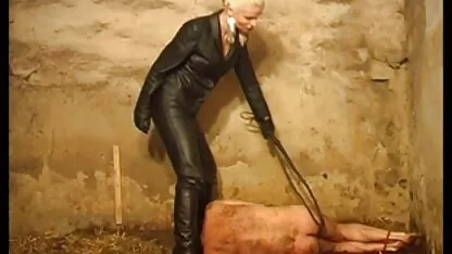 Serena Bois pornographique gratuite