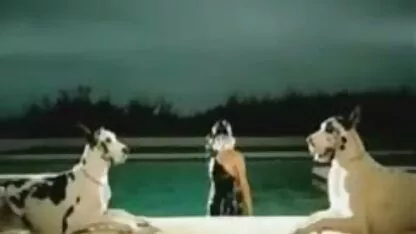 Zelda video de poreno b