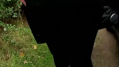 League film porno gratuit en français