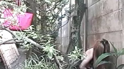 Zelda video sece gratuit